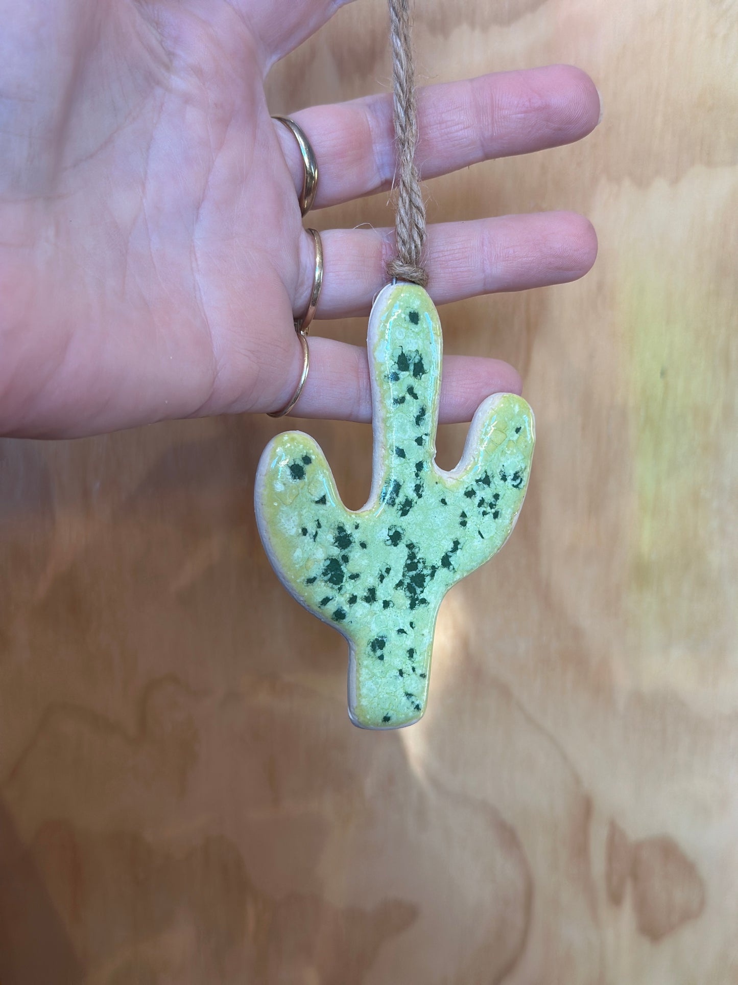 Ceramic Cactus Ornament