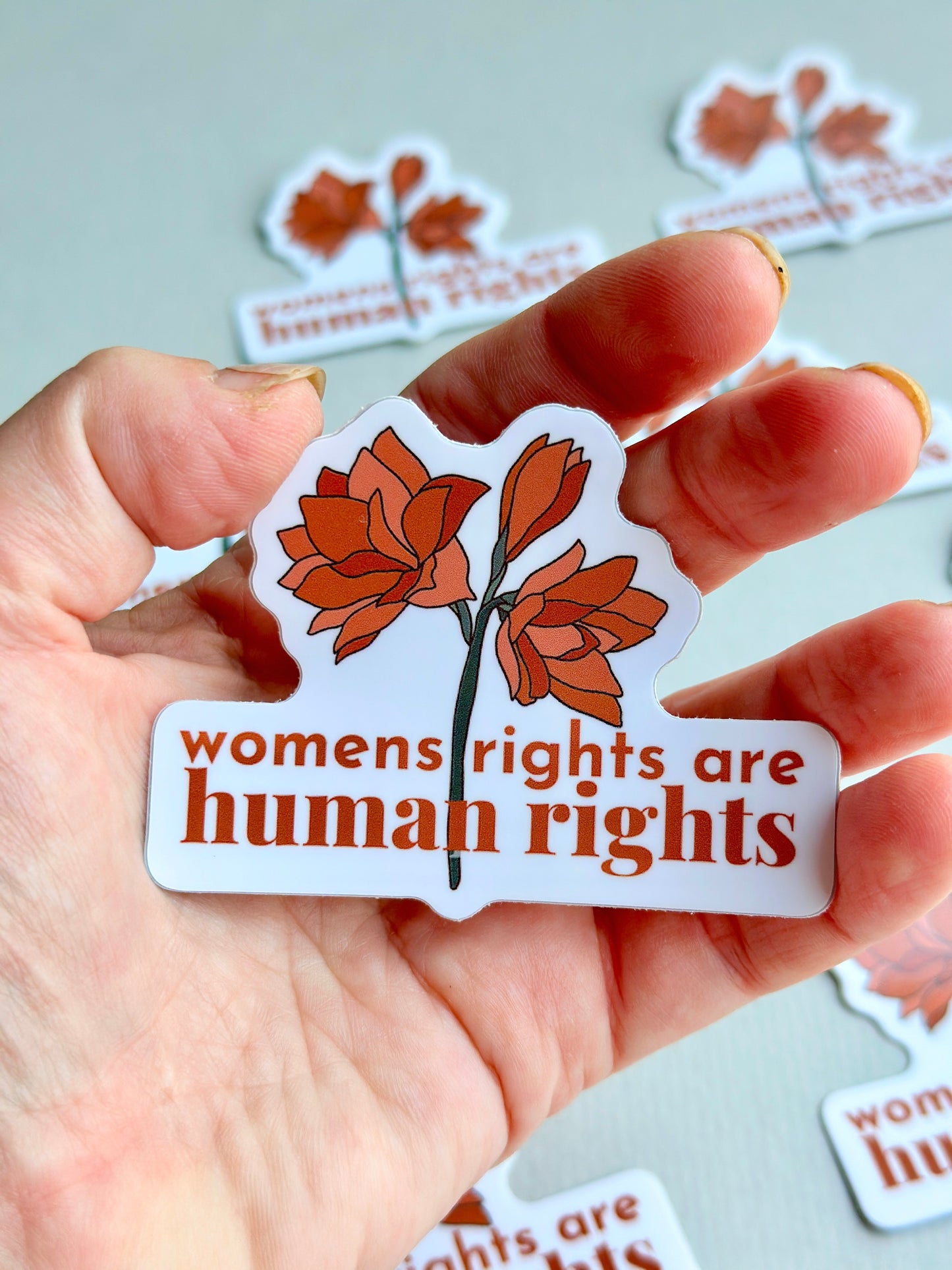 Womens Rights Sticker