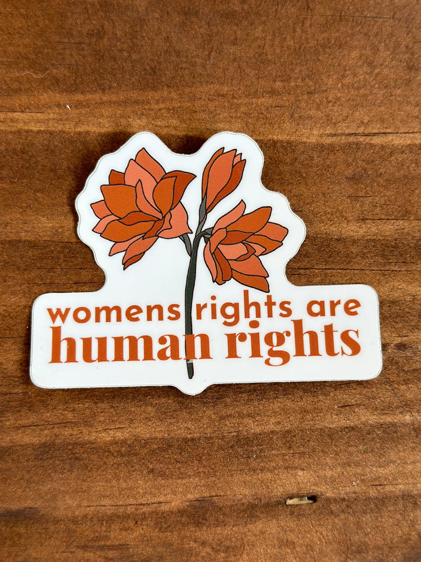 Womens Rights Sticker